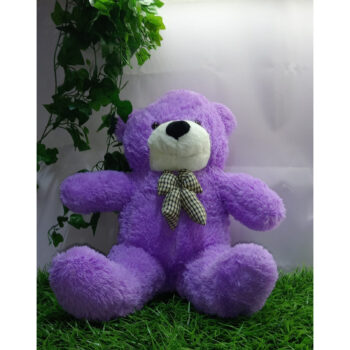 Purple Teddy Bear 60CM