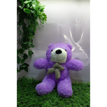Pink Teddy Bear 60CM N.T